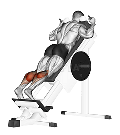 Sled Forward Angled Calf Raise demonstration