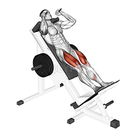 Sled Hack Squat