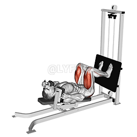 Sled Lying Squat demonstration