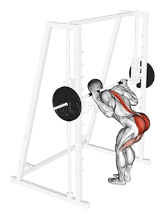 Smith Bent Knee Good morning demonstration