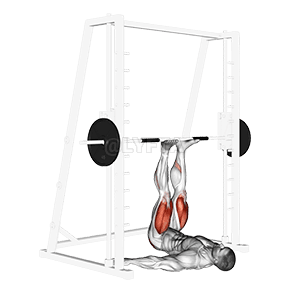Smith Leg Press demonstration