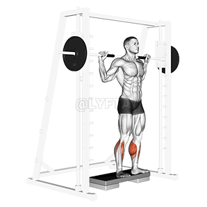 Thumbnail for the video of exercise: Smith Reverse Calf Raises