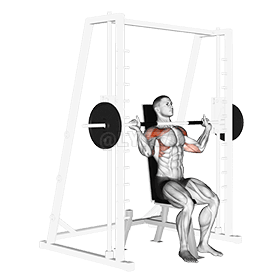 Smith Shoulder Press demonstration