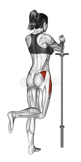 Standing Hip Abduction demonstration