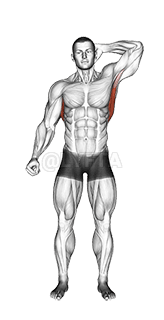 Standing Lateral Stretch demonstration