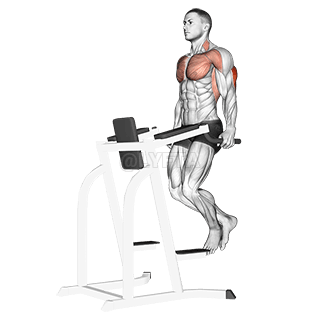 Triceps Dip demonstration