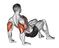Triceps Dips Floor demonstration