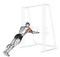 Triceps Press demonstration