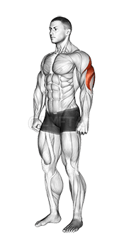 Triceps Stretch demonstration