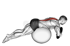 Thumbnail for the video of exercise: Hyperextension poids (Ekɛnɛya min bɛ kɛ ni girinya ye).