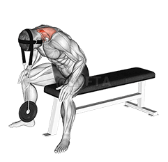 Seated Neck Extension demonstration