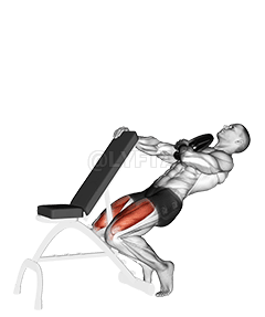 Weighted Sissy Squat demonstration