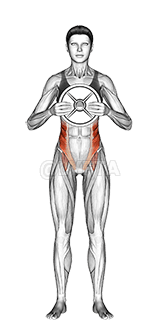 Weighted Standing Twist demonstration
