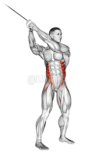 Cable twist demonstration