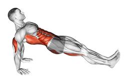 Reverse plank