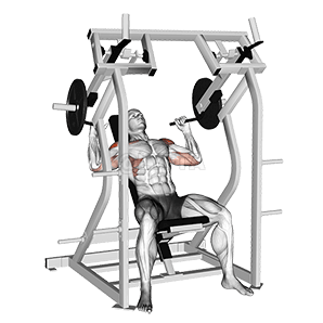Lever Shoulder Press demonstration