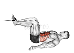 Cable Reverse Crunch demonstration