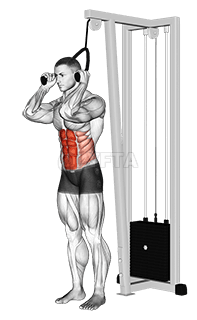 Cable Standing Crunch demonstration