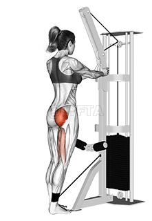 Cable standing hip extension demonstration