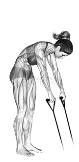 Thumbnail for the video of exercise: Band back extension