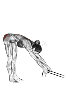 Thumbnail for the video of exercise: 带过度伸展