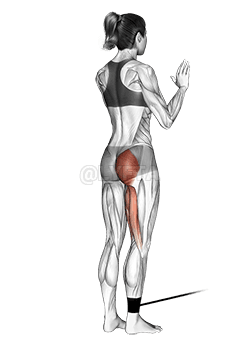 Band standing hip extension demonstration