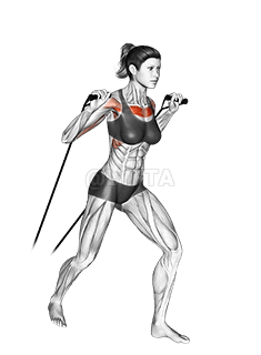 Thumbnail for the video of exercise: Press de pecho inclinado de pie con banda