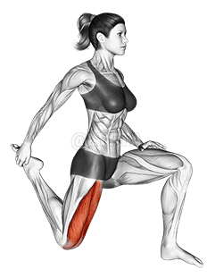 Quadriceps stretch demonstration