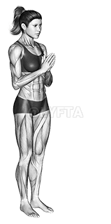 Thumbnail for the video of exercise: Chair Pose II Utkatasana II