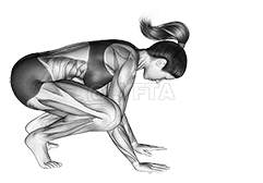 Thumbnail for the video of exercise: Postura de la grulla Bakasana