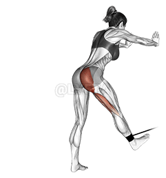 Band bent-over hip extension demonstration