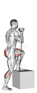 Band step-up demonstration