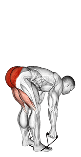 Band stiff leg deadlift demonstration