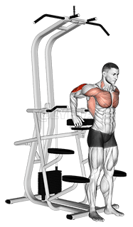 Assisted Standing Triceps Dip demonstration