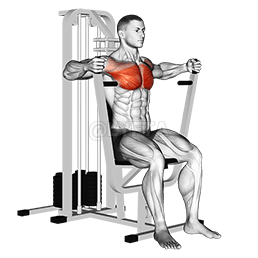 Thumbnail for the video of exercise: Lever Parallel Chest Press