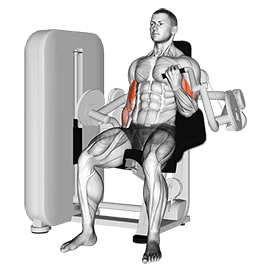 Thumbnail for the video of exercise: Curl alterné des biceps avec levier