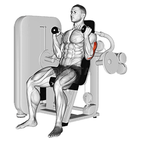 Lever Triceps Extension demonstration