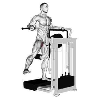 Thumbnail for the video of exercise: Lever Side Hip Adduction