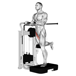 Lever Standing Leg Raise demonstration