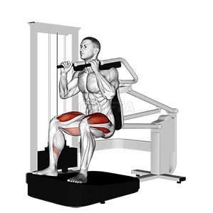 Lever Chair Squat demonstration