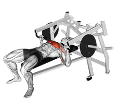 Lever Lying Chest Press demonstration