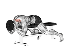 Lying Neck Extension