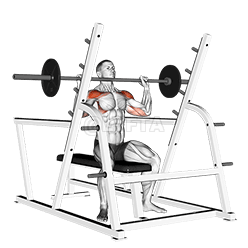 Seated Military Press demonstration