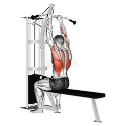 Close-Grip Front Lat Pulldown