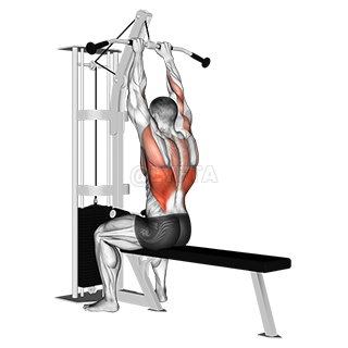 Close-Grip Front Lat Pulldown