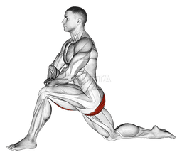 Kneeling Hip Flexor Stretch