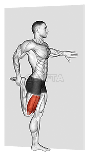Standing Quadriceps Stretch demonstration