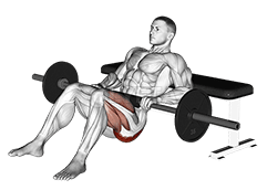 Barbell one leg hip thrust demonstration