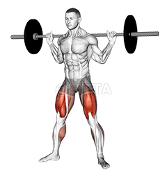 Barbell sumo squat