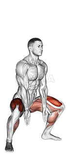 Sumo Squat demonstration